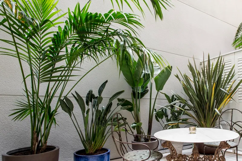 DOUBLE SUPERIOR WITH TERRACE Room, Midmost Barcelona, Barcelona