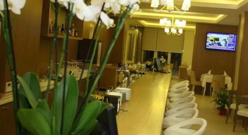 Bar, Palace Hotel & Spa, Durres