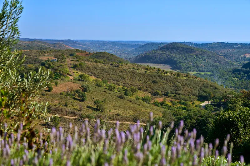 General view, Quinta do Marco, Algarve