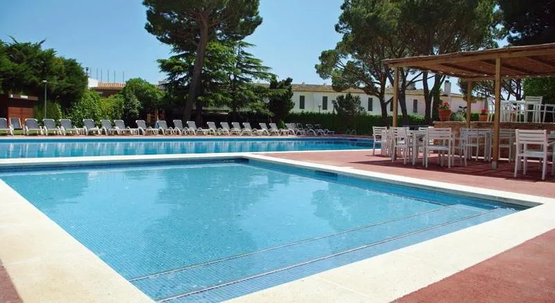 Terrace, Alga, Costa Brava