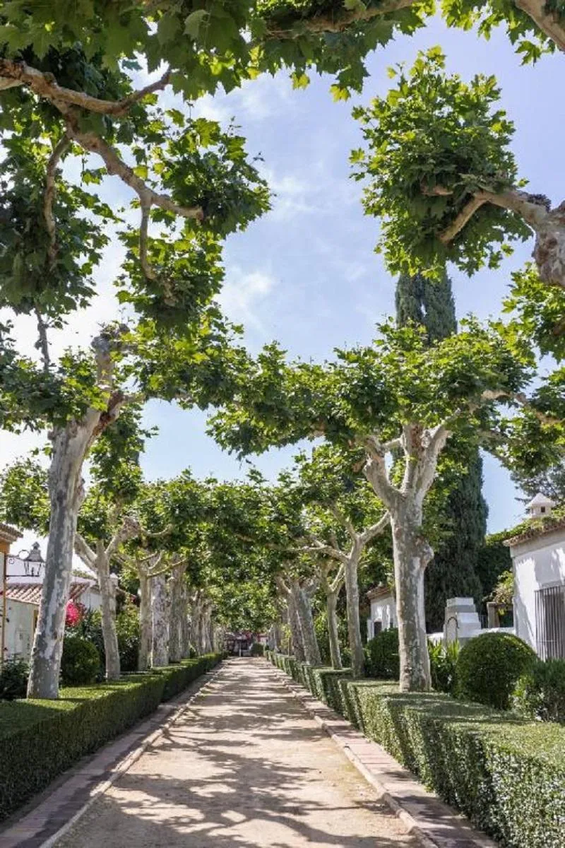 General view, El Cortijo de los Mimbrales, Costa De La Luz