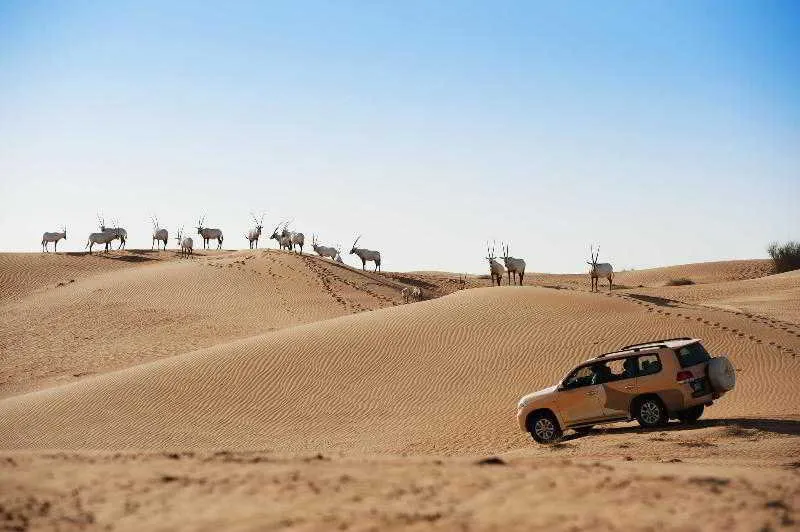 General view, Al Maha, a Luxury Collection Desert Resort & Spa, Dubai