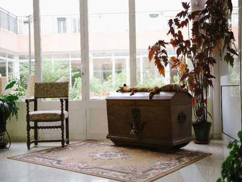 Lobby, Hospederia Reina De Los AÂngeles, Seville