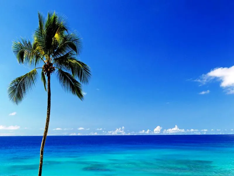 Beach, Cobblers Cove, Barbados