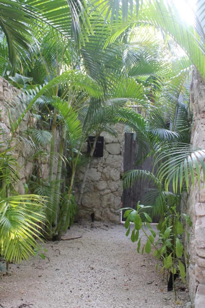 Lobby, Kuun Taak Tulum, Cancun Area