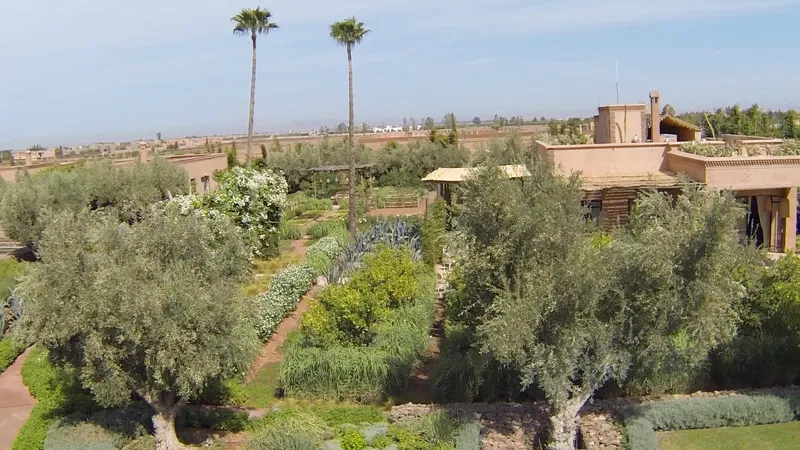 General view, The Source, Marrakech