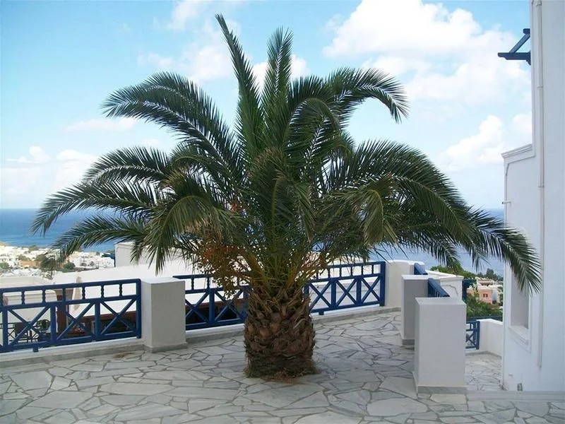 General view, Aegean View, Santorini