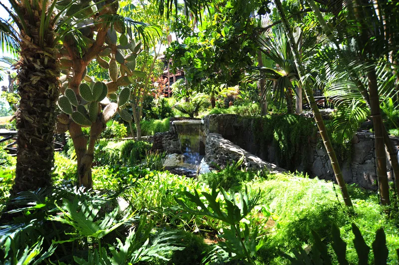General view, Parque Tropical, Gran Canaria