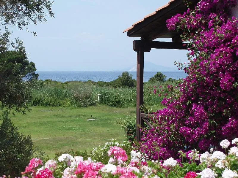 General view, Skiathos Holidays Hotel, Skiathos