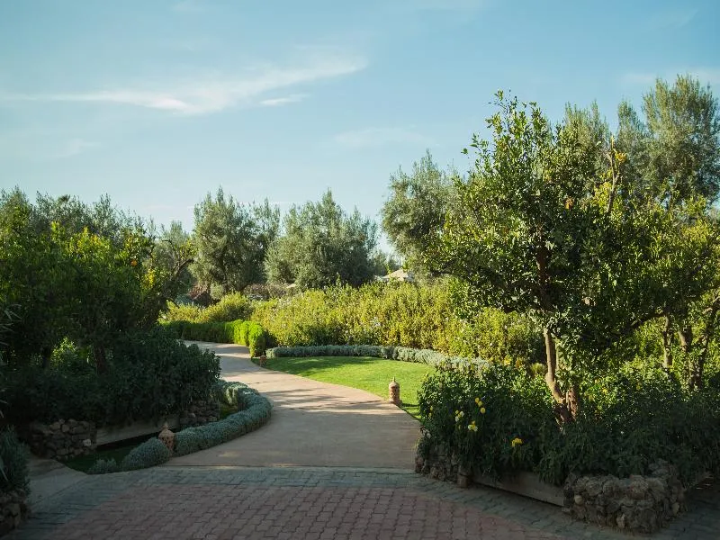 General view, The Source, Marrakech