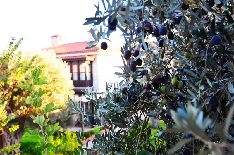General view, Imren Han Boutıque Hotel, Izmir