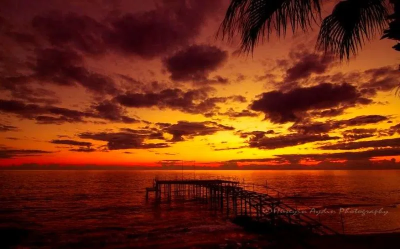 Beach, Aria Resort & Spa Hotel, Antalya
