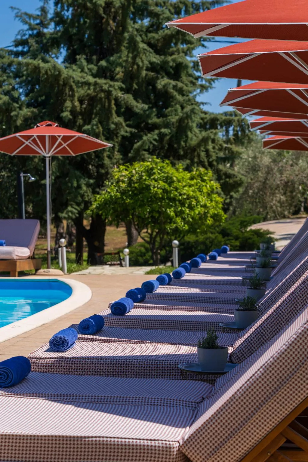 Pool, Skiathos Avaton Hotel, Skiathos