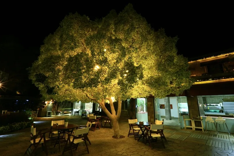 Terrace, Costa Farilya Special Class Hotel Bodrum, Bodrum