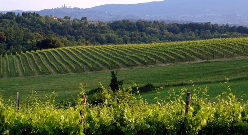 General view, Borgo di Cortefreda, Florence