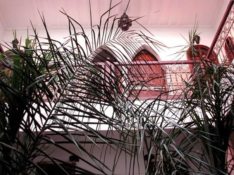 General view, Riad Laora By La Siredrah, Marrakech
