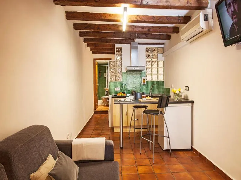 STUDIO STANDARD Room, AinB Las Ramblas-Guardia Apartments, Barcelona