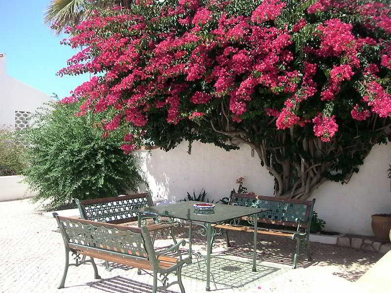 General view, Sollagos Studios, Algarve