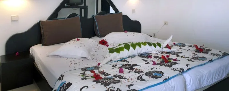 DOUBLE STANDARD Room, Cedriana Djerba, Tunisia