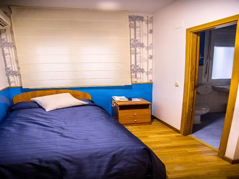 SINGLE STANDARD Room, Hostal Montaloya, Madrid