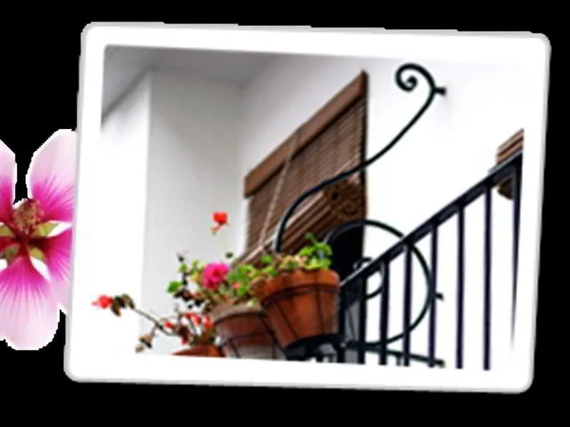 General view, Hostal Paco Marbella, Costa Del Sol
