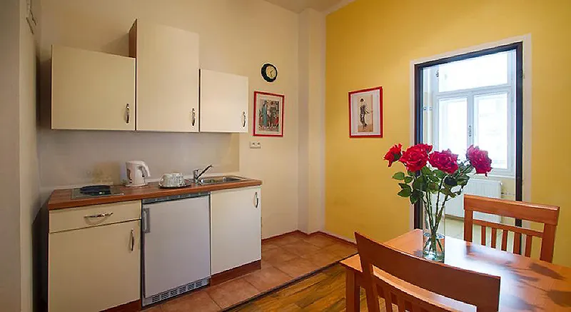 APARTMENT CAPACITY 3 Room, Apartment Amandment, Prague