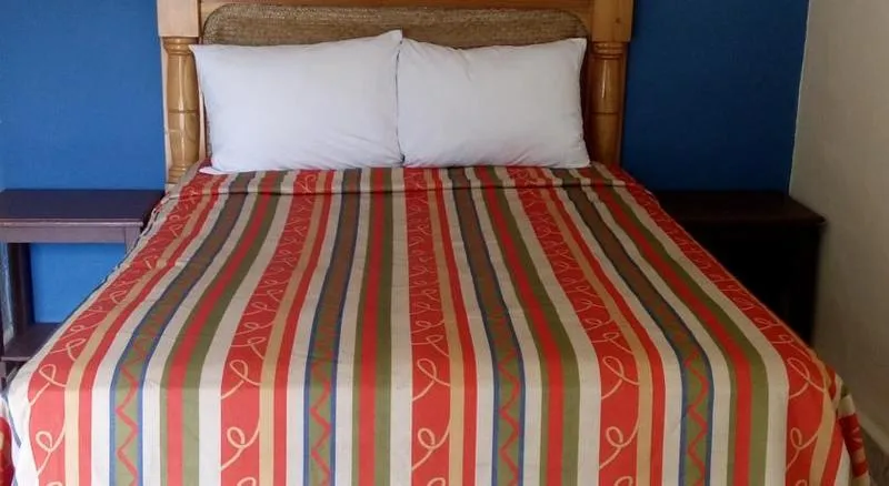 DOUBLE SINGLE USE STANDARD Room, La Alegria Hotel, Playa Del Carmen