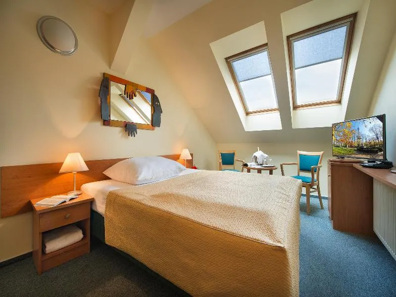 SINGLE STANDARD Room, EA Hotel Tosca, Prague