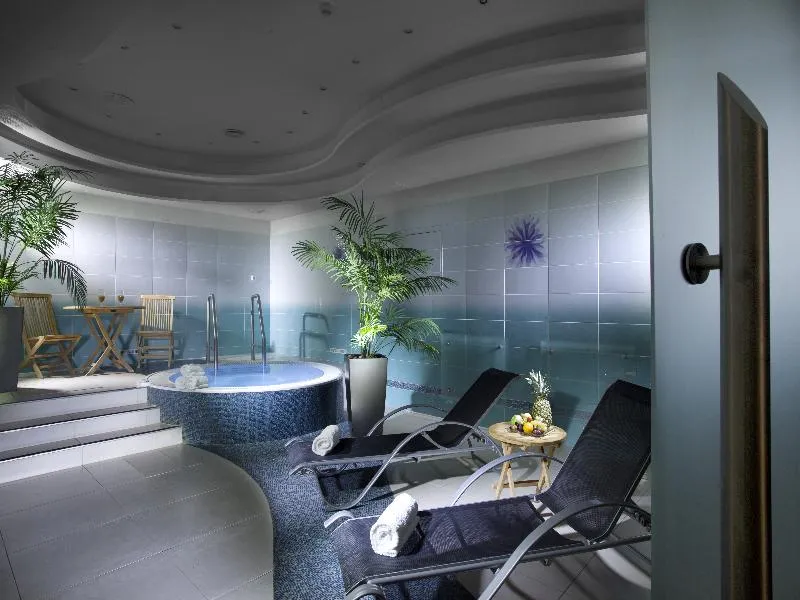 Sports and Entertainment, Hotel Paris Prague, Prague