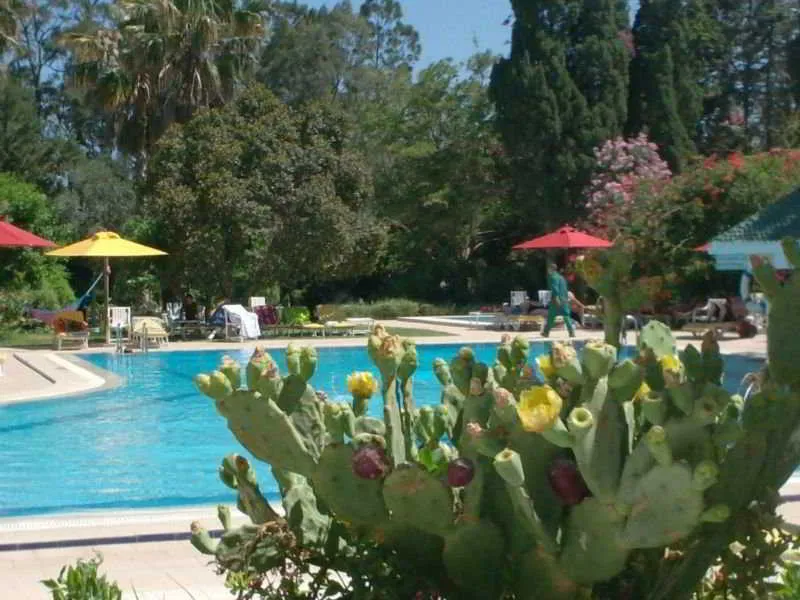 Pool, Regency Hammamet, Tunisia