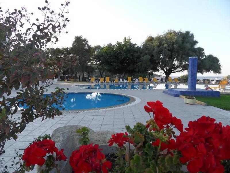 Terrace, Les Mimosas, Tunisia