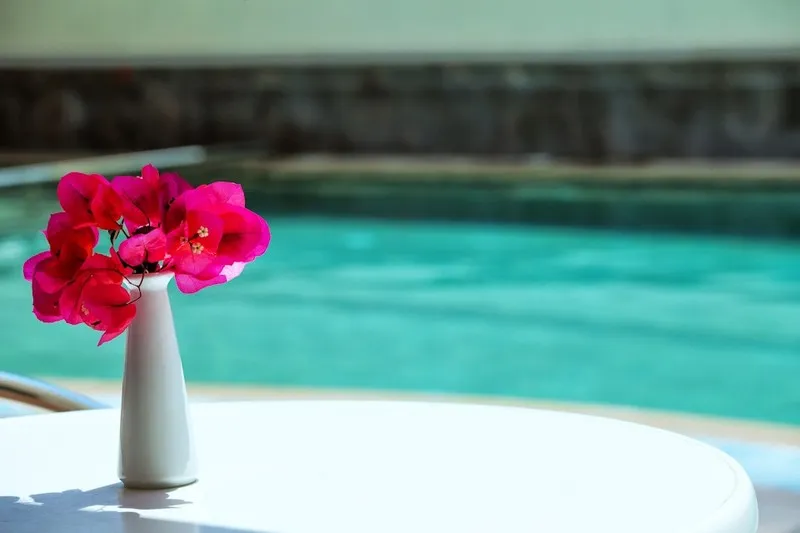 Pool, Elinotel Polis Hotel, Halkidiki