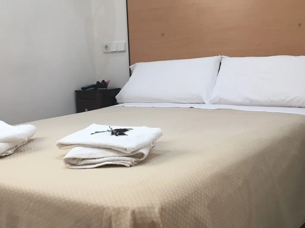 DOUBLE STANDARD Room, Hostal Residencia Lido, Madrid