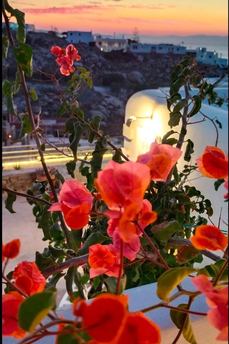 General view, Arcs Boutique Villa Hotel, Mykonos