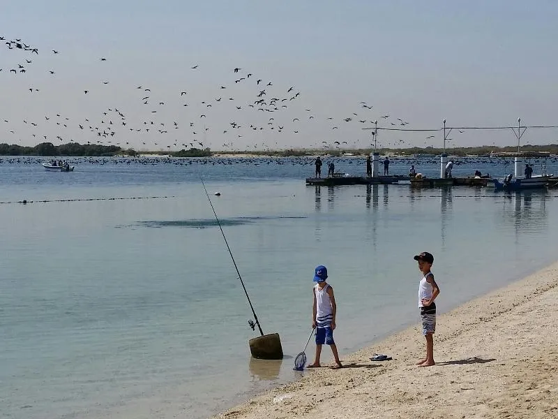 Beach, Flamingo by Bin Majid, Dubai