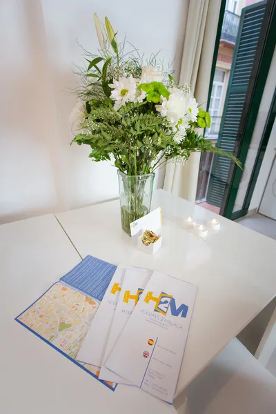 APARTMENT CAPACITY 4 ONE BEDROOM Room, Holidays2Malaga Flamenco Apartments, Costa Del Sol