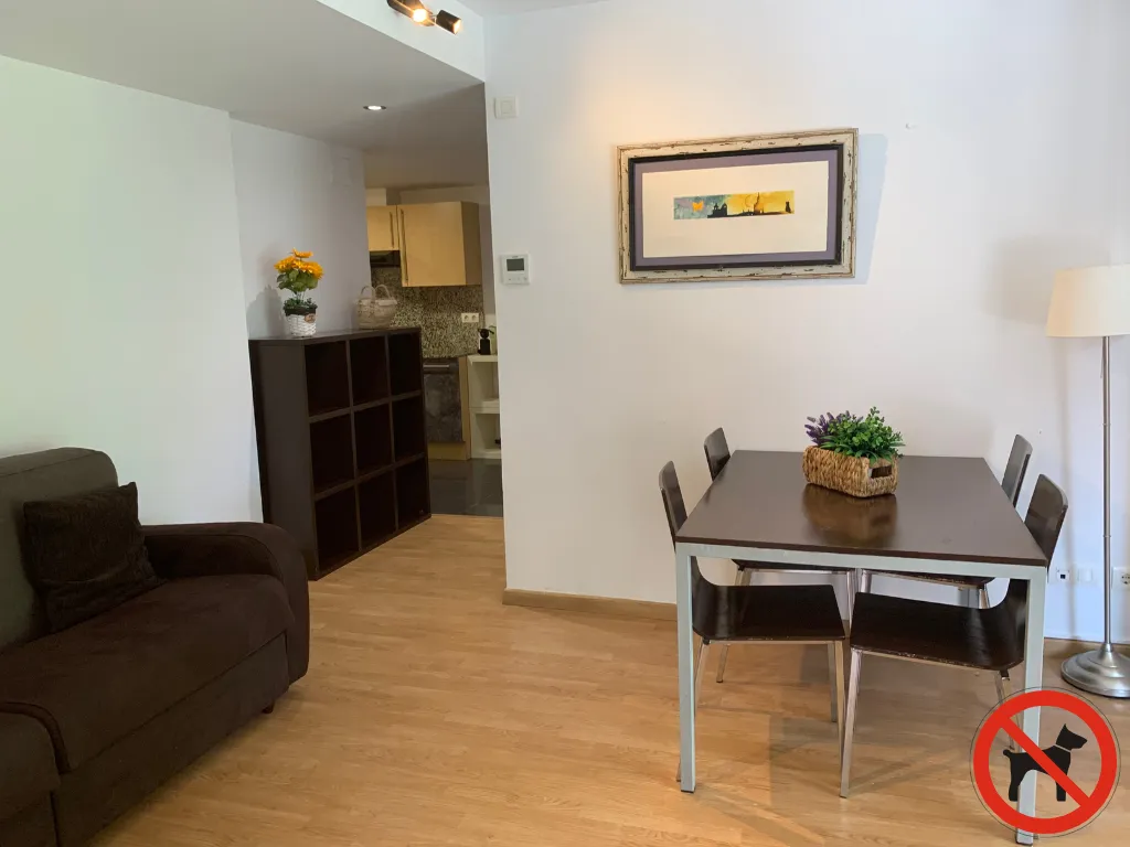 APARTMENT ONE BEDROOM Room, Hotel Travessera, Barcelona