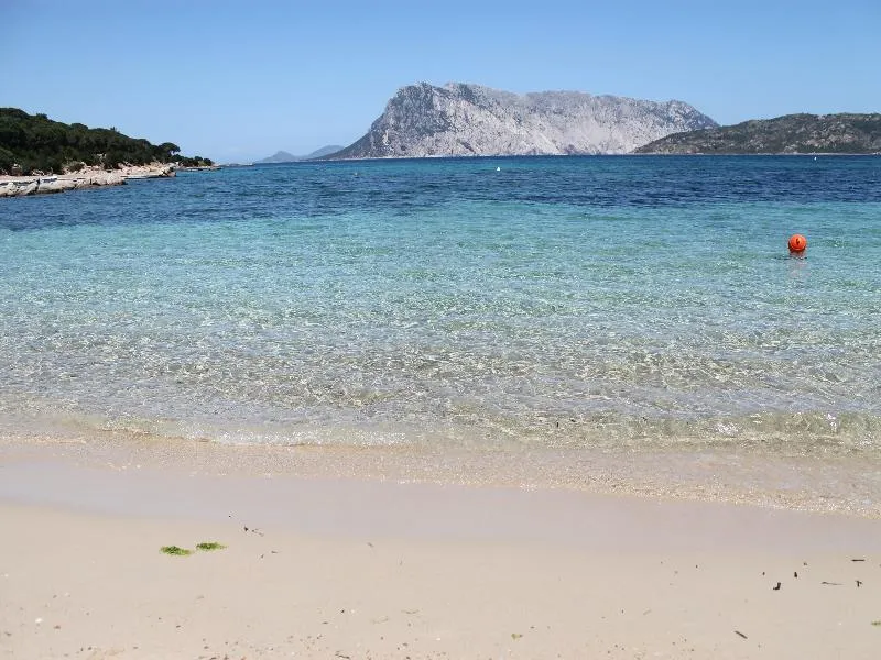Beach, Porto Coda Cavallo Residence, Olbia