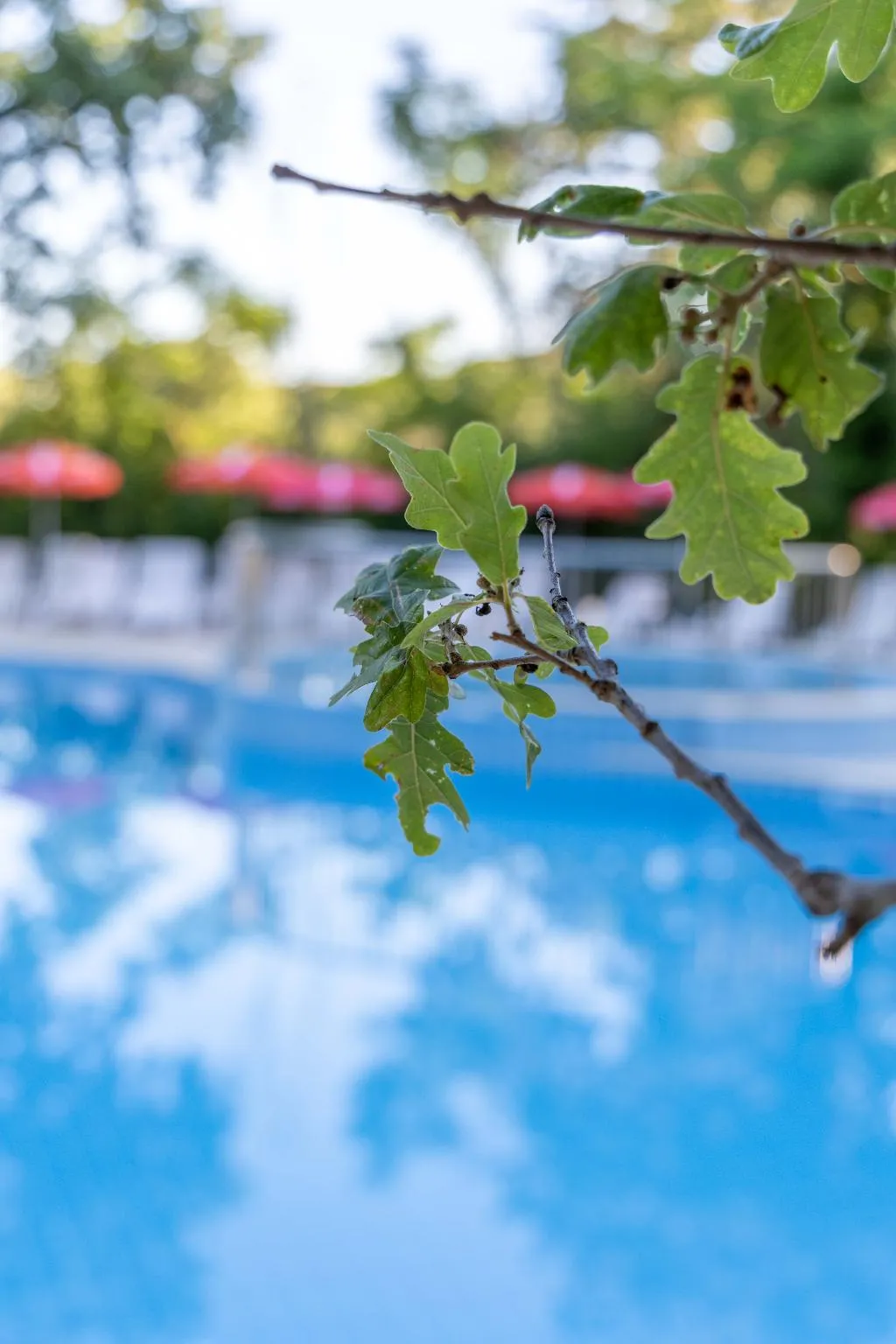 Pool, Hotel Preslav, Varna