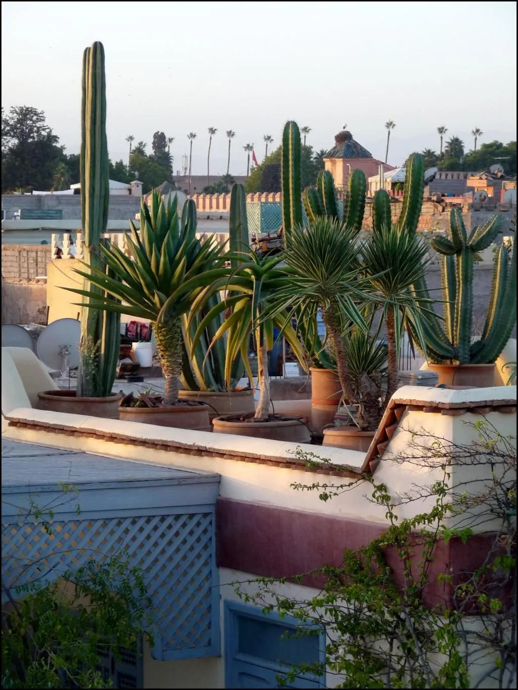 General view, Riad Noos Noos, Marrakech