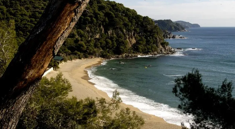 Beach, Apartaments Lloret Sun, Costa Brava