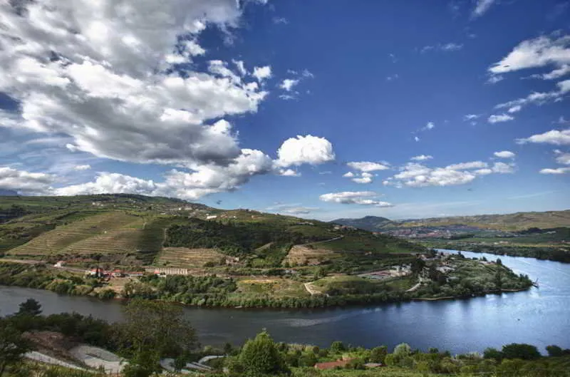 General view, Delfim Douro Hotel, Porto