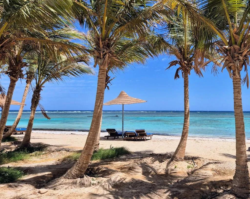 General view, Mangrove Bay Resort, Red Sea Riviera