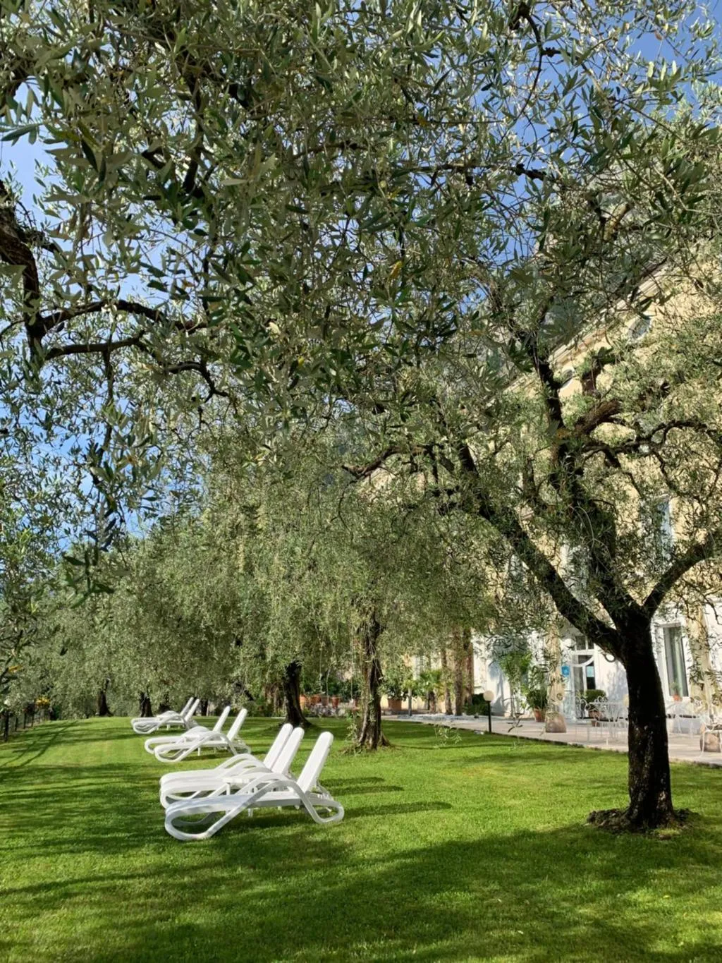 General view, Englo Vacanze, Milan