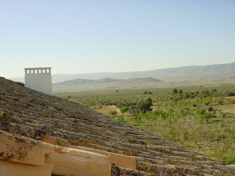 Mas Fontanelles, Costa Blanca
