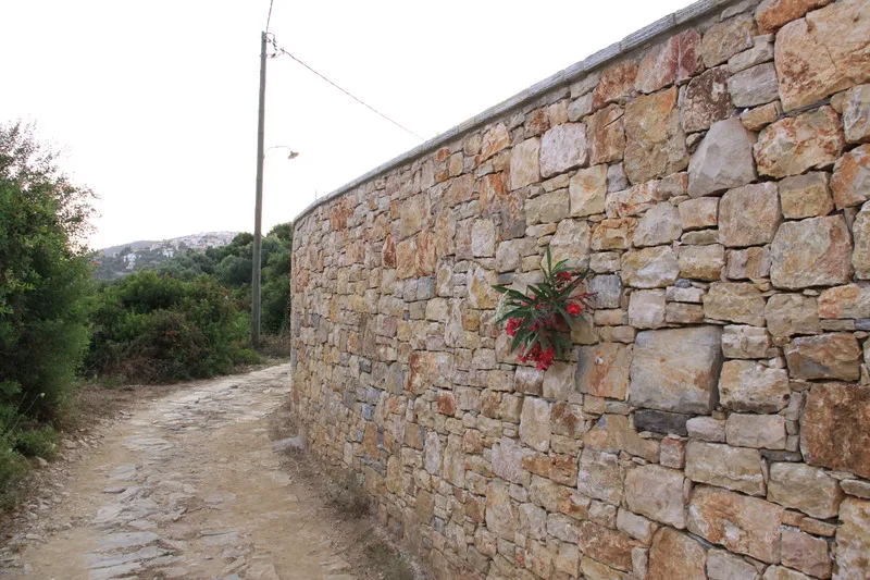 VILLA WITH PRIVATE POOL Room, Villa Mirothea, Skiathos