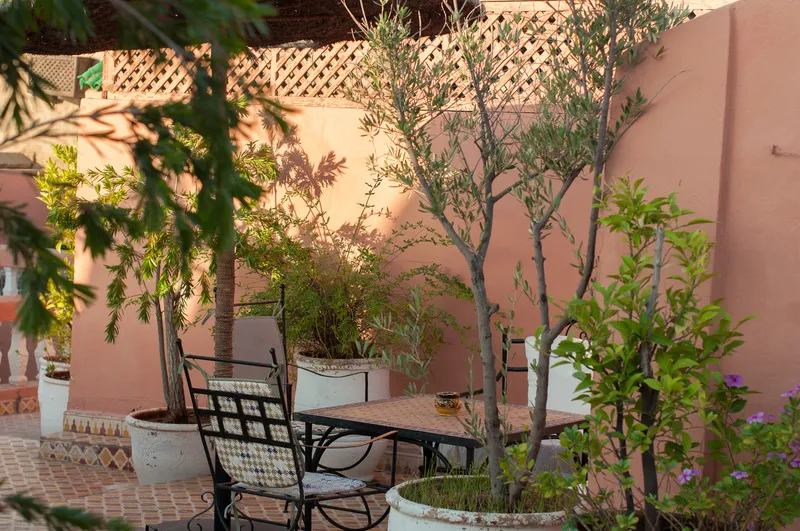 Terrace, Riad Azalia, Marrakech