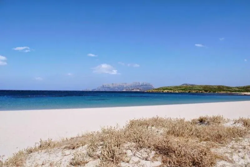 General view, Luna Lughente, Olbia