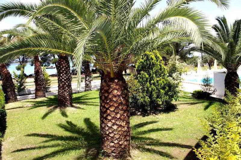 General view, Rema, Halkidiki