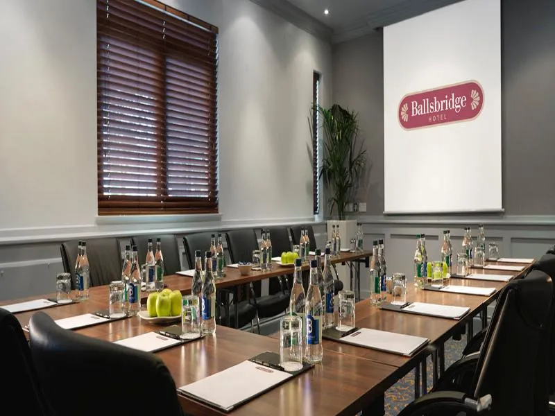 Conferences, Ballsbridge Hotel, Dublin